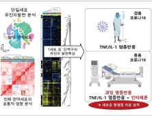 중증 코로나19 환자 '사이토카인 폭풍' 원인 규명…'인터페론'과 연관 