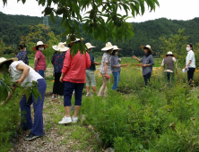 울진군, '약초 활용 치유농업 프로그램' 개발