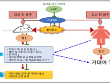 임신 전 음주, 임신율 낮추고 태아발달이상 23% 높여 