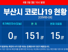 부산 코로나19 사망 3명, 치료 중인 확진자 15명··누계 확진자 169명 