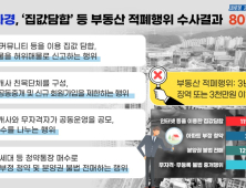 경기도, '집값담합' 등 부동산 불법행위자 80명 적발