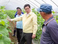 김돈곤 청양군수, 농업피해현장 점검