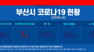 부산 코로나19 추가 확진자 7명···연일 7명 이상 확진자 추가