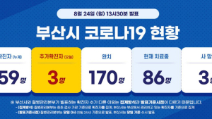 부산서 광화문 집회 참가자 3명 추가 확진···누계 확진자 259명