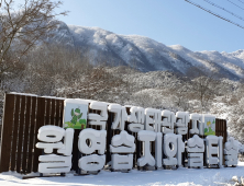 정읍 월영습지와 솔티숲, 생태관광지 평가 ‘최우수 등급’