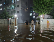 걷는 건지 수영하는 건지···망연자실 양양 주민들