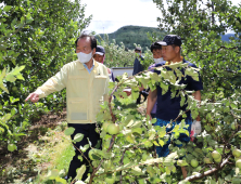 의성군, 사과 탄저병 긴급방제 지원..ha당 50만원 