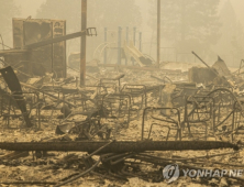 한 살 아이 덮친 美 서부 대형 산불…사망자만 31명