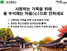 대구시, 코로나19 확산 막으려 ‘성묘객 분산’ 안간힘