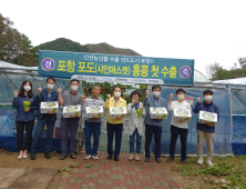 포항 고급 포도 '샤인머스켓', 홍콩 첫 수출길 올라