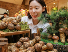 현대백화점, 가을 보양식 '자연산 송이' 선봬