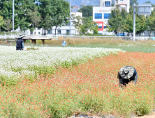 아쉬운 나리농원 폐쇄... 내년에는 꼭 만나요