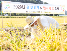 청양지역 전통 벼 베기·탈곡 체험 행사 ... 추억 속 농경문화 재현