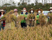 고창군, 토종벼 수확 기쁨 나눠 