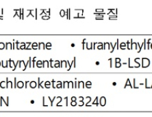 미국·영국서 규제하는 '이소토니타젠' 등 5종 임시마약류 지정