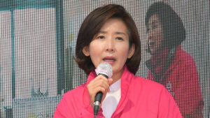 [2020 국감] 與, ‘나경원 아들 특혜 의혹’ 집중포화…“명백한 특권”