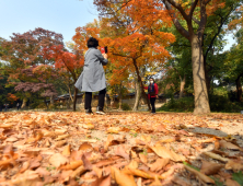 도심 속 가을 정취