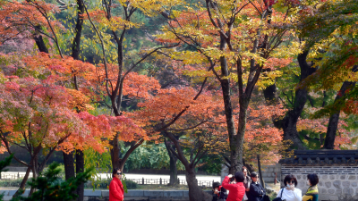 십 년이면 강산도 변한다