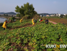 대전시, 가을철 '알레르기 비염' 예방 시민건강수칙 발표