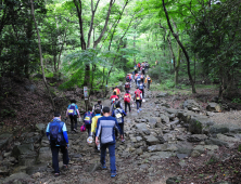 걷고 싶은 남도 숲길 12곳 어디?