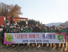 달성군 하빈면 새마을단체, ‘사랑의 벼 베기’ 봉사 활동