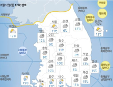 [오늘날씨] 흐린 출근길…미세먼지 나쁨