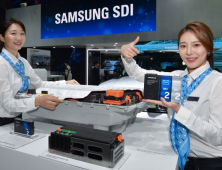 ‘배터리 강자’ 삼성SDI, DJSI 월드 기업 선정