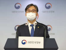 편의점·백화점·마트 ‘2020 코세페’ 덕 봤다…“전년 比 매출 일제히 상승”