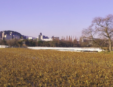 전주 덕진공원 연화교, 40년 만에 새 모습 드러내 