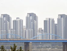 강남은 잡았지만…부동산 시장 불안정, 풍선효과 ‘속출’