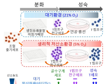 치명적인 조혈모세포 이식 합병증, 예방법 찾았다 