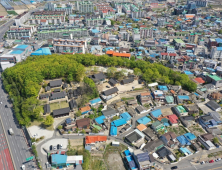 포항 흥해향교 이팝나무 군락, 천연기념물 지정