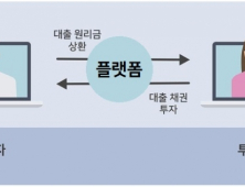 P2P금융사, 금감원 사전심사 통과업체 등장…내년 초 ‘1호 업체’ 나온다