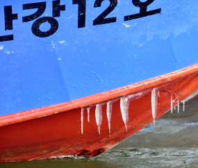 배에 붙어있는 고드름