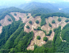 생태·경관 '일석이조'…북부산림청, 친환경벌채 제도 교육