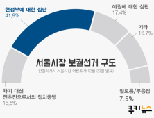 정권심판론 41.9% vs 야권심판론 17.4% vs 대선 전초전 16.5%