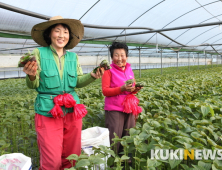 깻잎 하나로 4년연속 연매출 500억원대 달성