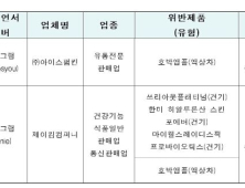 방송인·유투버 등 인플루언서, 허위·과대광고 ‘덜미’