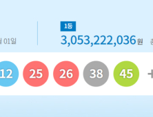 제896회 로또 당첨번호 ‘5, 12, 25, 26, 38, 45’