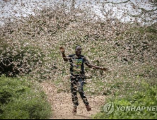 동아프리카, 메뚜기떼 출현…“식량난 우려 커져”