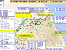 끊이지 않는 야생멧돼지 아프리카돼지열병…전국 199건