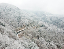 [날씨]전북지역 16~17일 흐리고 눈...예상적설량 5~20cm