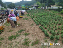 금산 진산면, 대둔산 일원에 꽃밭공원 조성