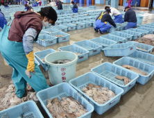 日 부흥상 “그쪽 나라보다 후쿠시마 식자재가 더 안전”…한국 겨냥 발언