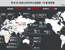 전 세계 코로나19 환자 7만5237명... 국내 '82명'