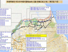 경기 연천서 야생멧돼지 아프리카돼지열병 1건 추가…전국 229건