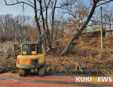 공주 탄천면 자율방재단, 주택가 위험목 제거