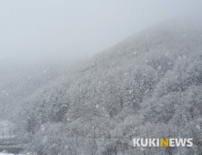 강원 미시령 적설량 59.1㎝…도, 제설 작업 총력