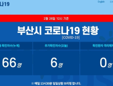 28일 부산서 코로나19 확진자 1명 추가…대구 초등생