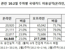 코로나19 여파 2월 개인 신용카드 사용액 절반으로 줄어